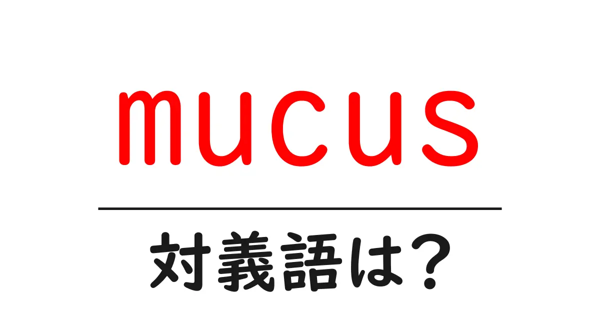 mucusの対義語・反対語を使用例を交えて分かりやすく解説！