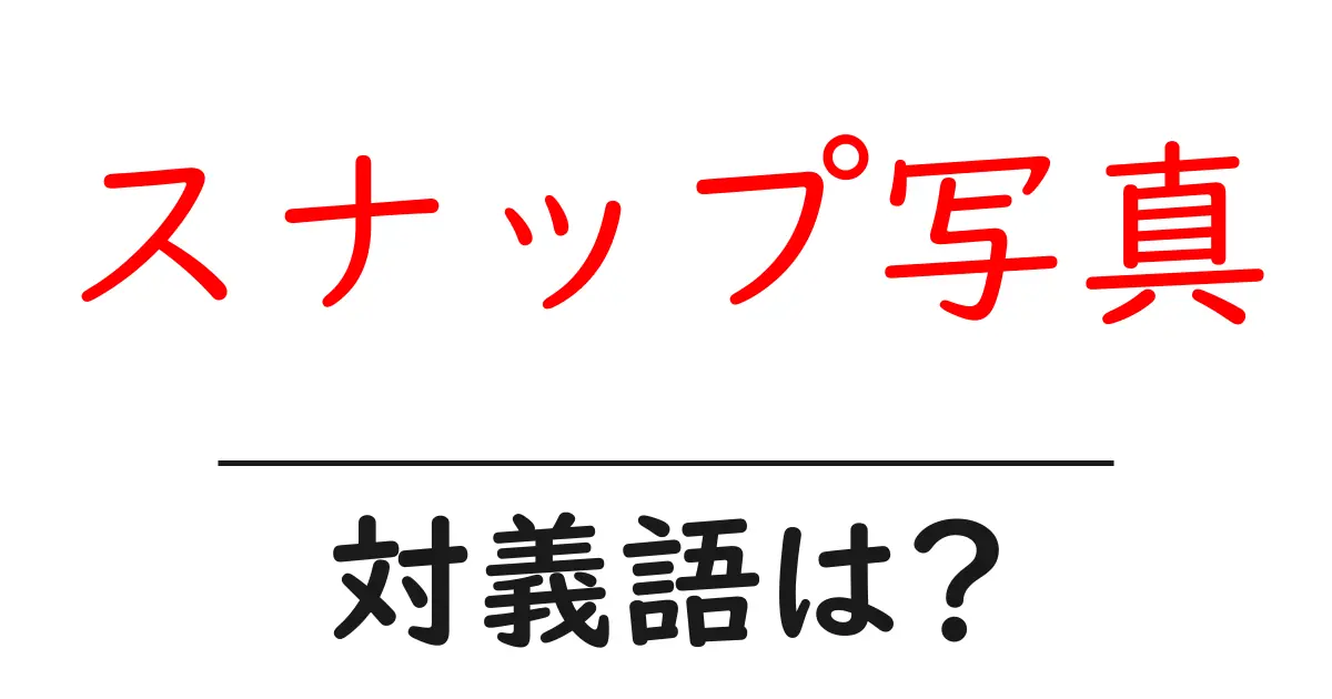 スナップ写真の対義語・反対語を使用例を交えて分かりやすく解説!