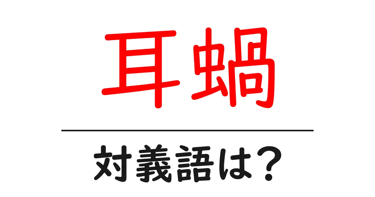 耳蝸の対義語・反対語を使用例を交えて分かりやすく解説!