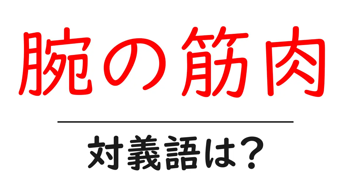 腕の筋肉の対義語・反対語を使用例を交えて分かりやすく解説!