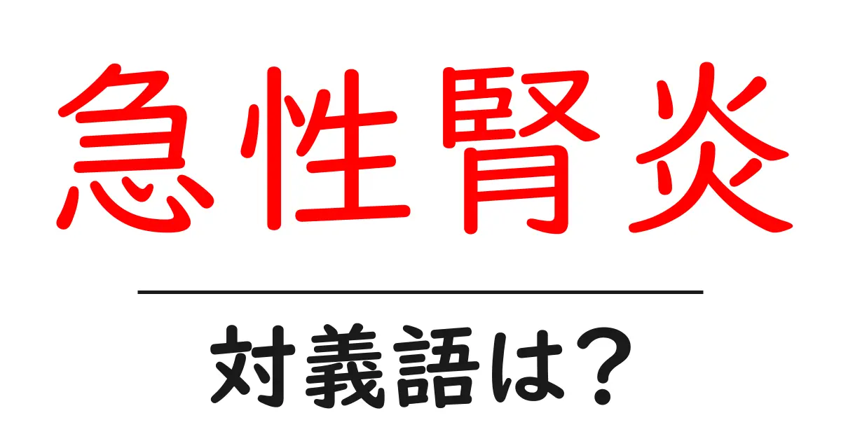 急性腎炎の対義語・反対語を使用例を交えて分かりやすく解説!