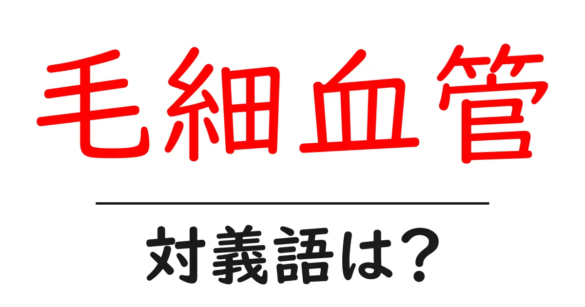毛細血管の対義語・反対語を使用例を交えて分かりやすく解説!