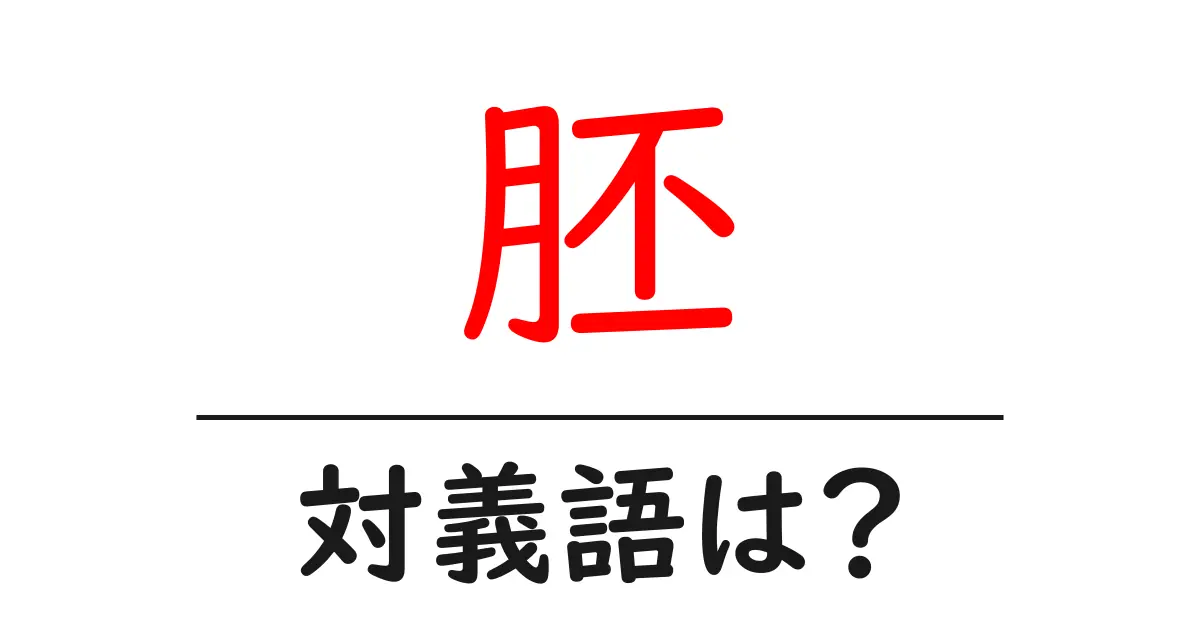 胚の対義語・反対語を使用例を交えて分かりやすく解説!