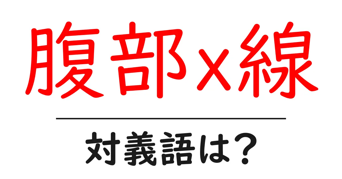 腹部x線の対義語・反対語を使用例を交えて分かりやすく解説!