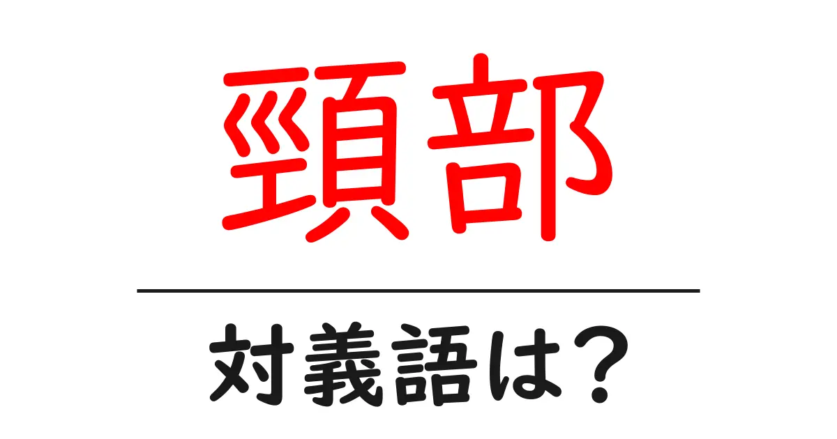 頸部の対義語・反対語を使用例を交えて分かりやすく解説!