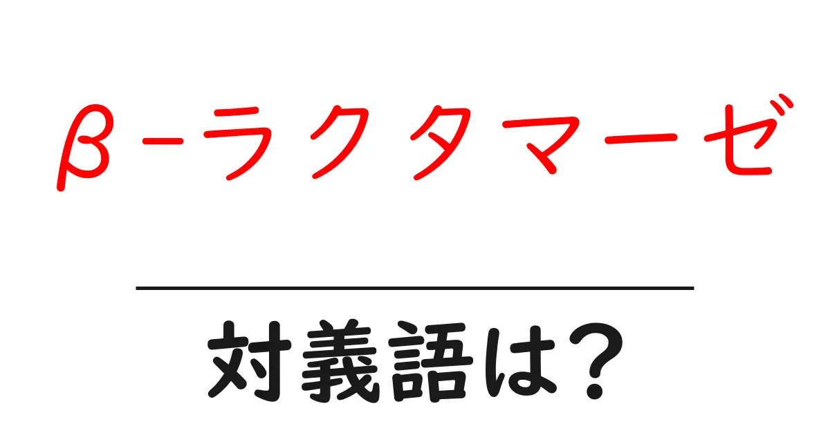 β-ラクタマーゼの対義語・反対語を使用例を交えて分かりやすく解説！