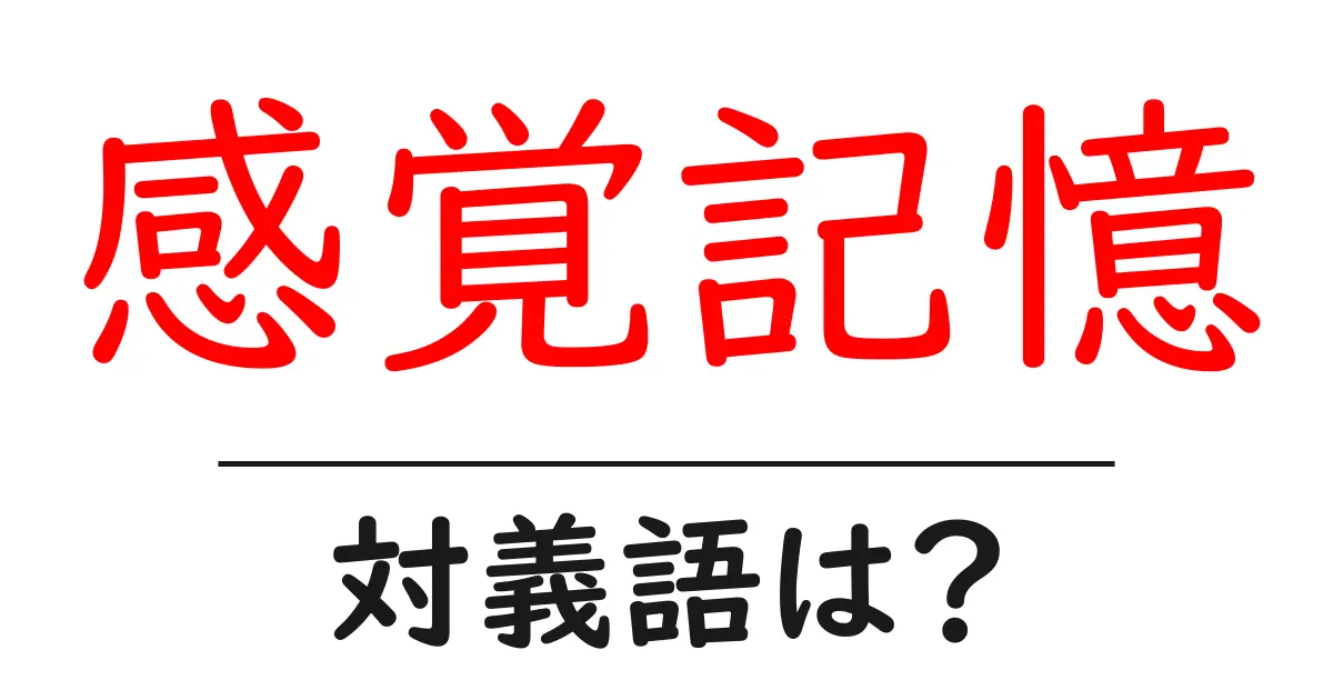 感覚記憶の対義語・反対語を使用例を交えて分かりやすく解説！