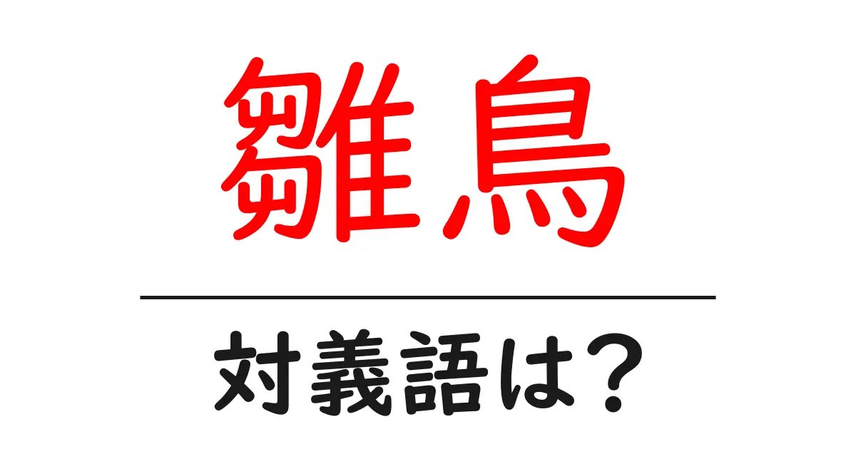 雛鳥の対義語・反対語を使用例を交えて分かりやすく解説!