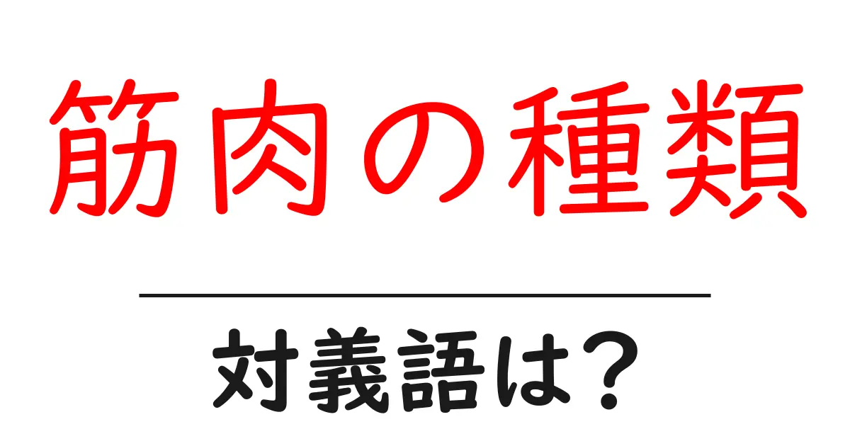 筋肉の種類の対義語・反対語を使用例を交えて分かりやすく解説!