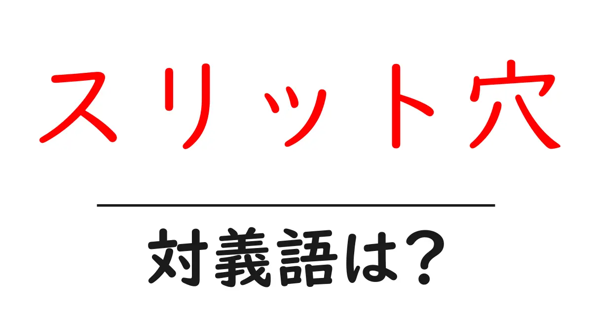 スリット穴の対義語・反対語を使用例を交えて分かりやすく解説！