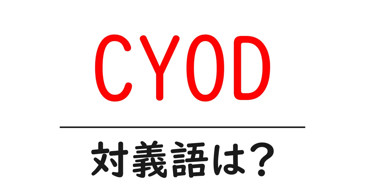 CYODの対義語・反対語を使用例を交えて分かりやすく解説!