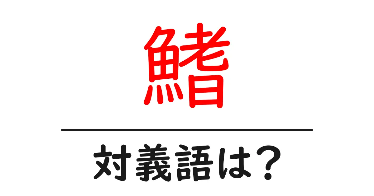 鰭の対義語・反対語を使用例を交えて分かりやすく解説！