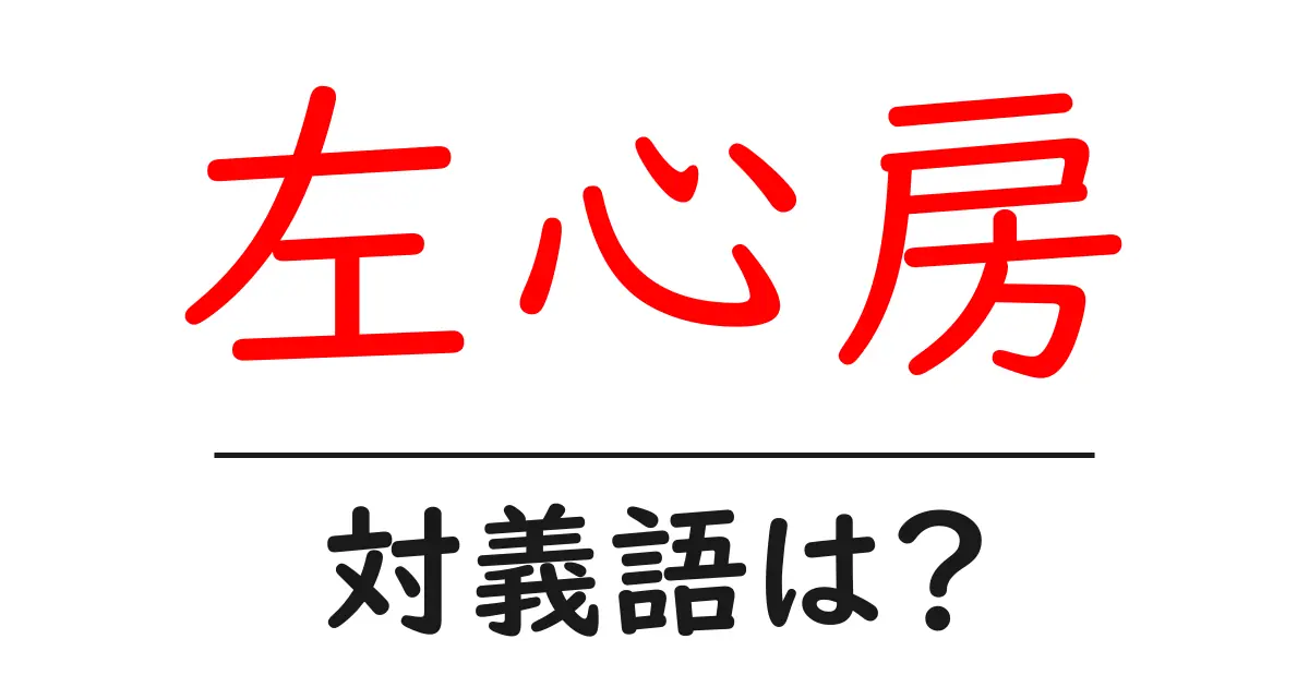 左心房の対義語・反対語を使用例を交えて分かりやすく解説!