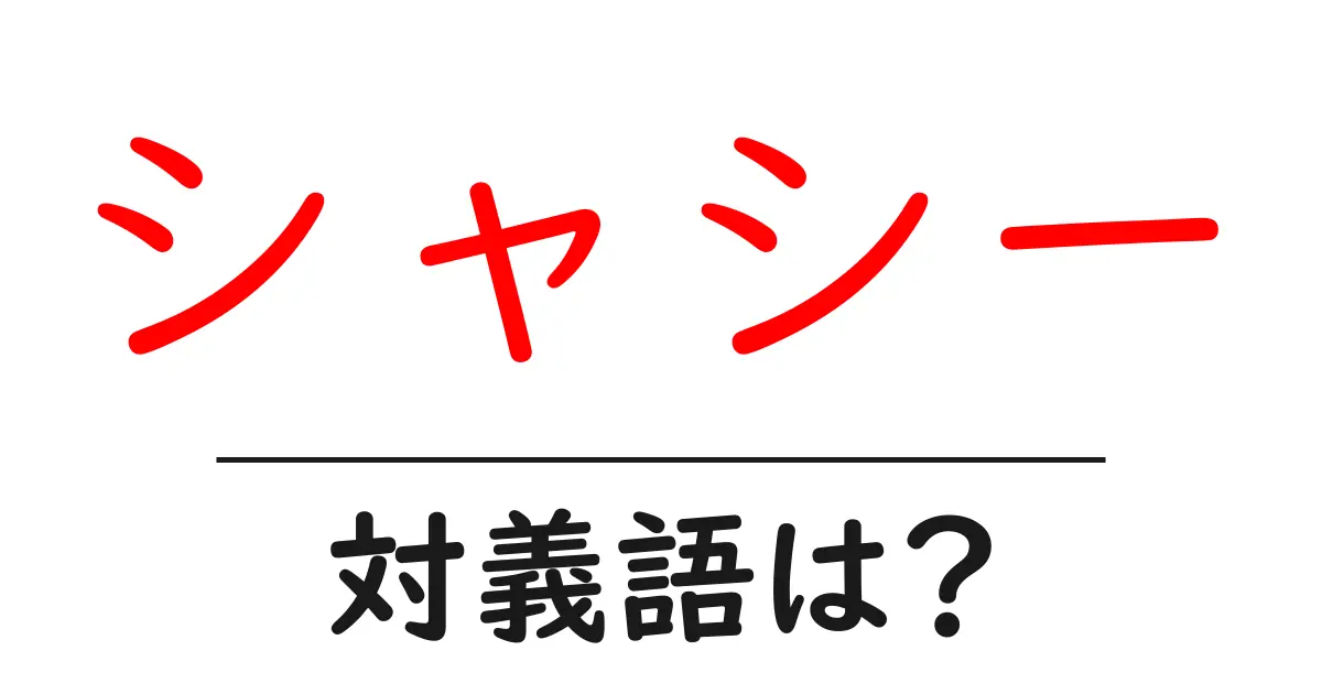 シャシーの対義語・反対語を使用例を交えて分かりやすく解説!