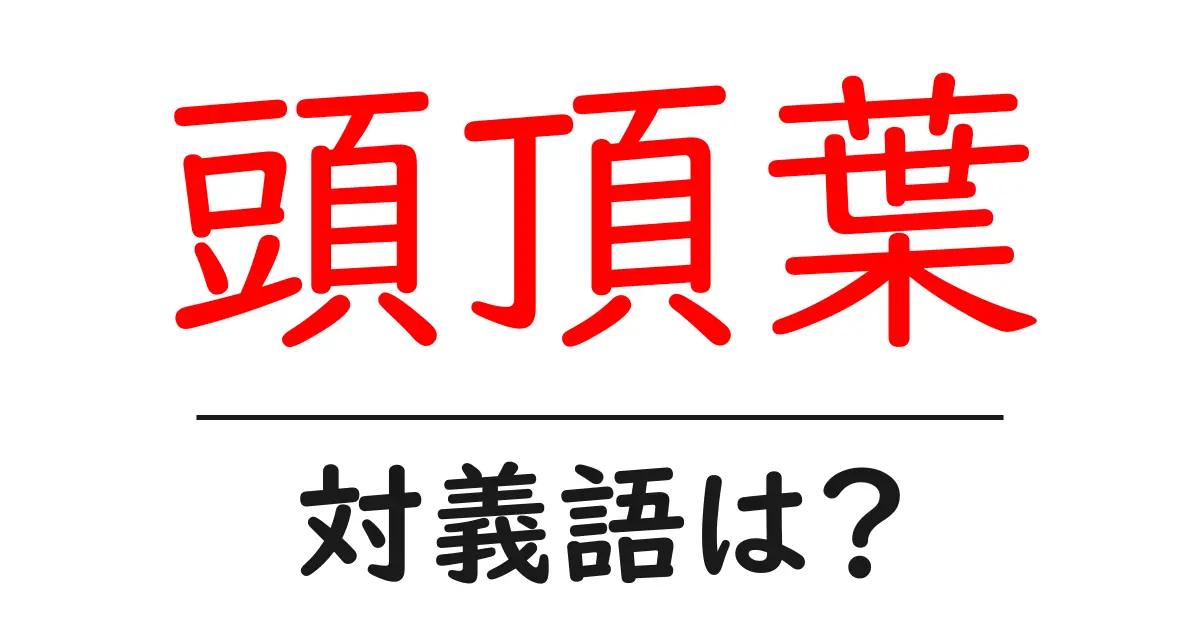 頭頂葉の対義語・反対語を使用例を交えて分かりやすく解説！
