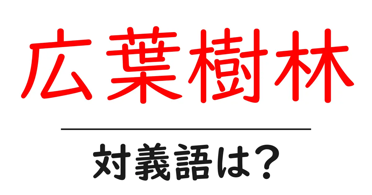 広葉樹林の対義語・反対語を使用例を交えて分かりやすく解説!