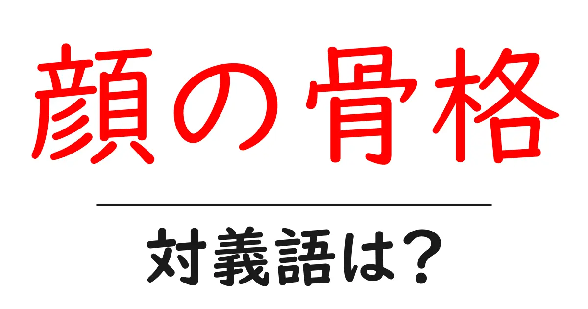 顔の骨格の対義語・反対語を使用例を交えて分かりやすく解説!