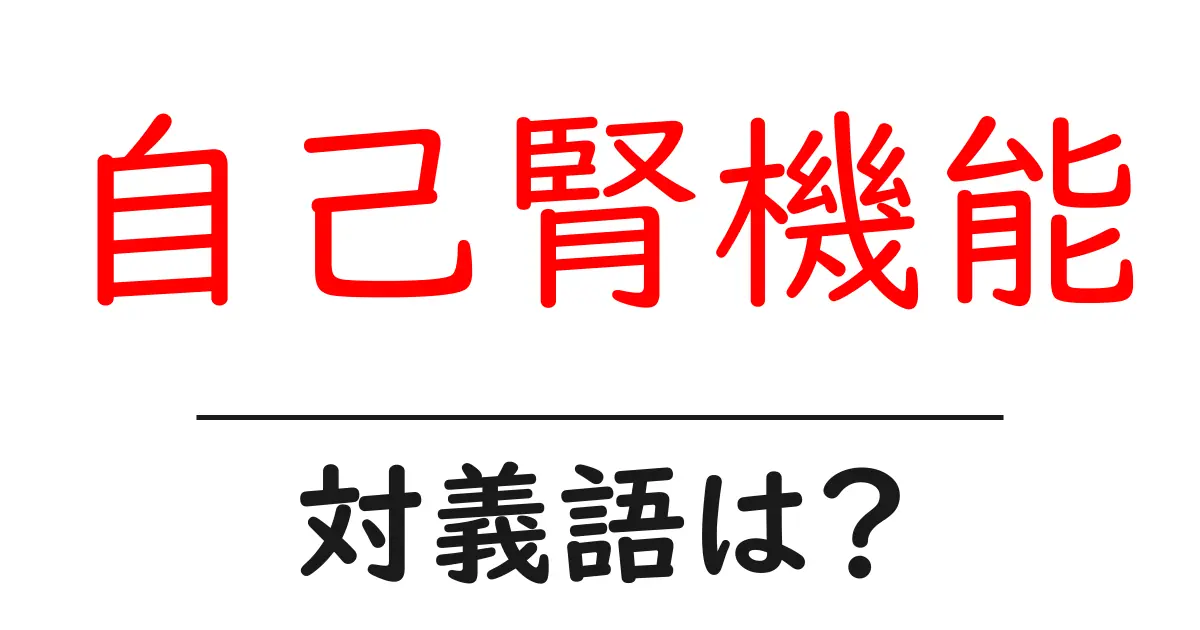自己腎機能の対義語・反対語を使用例を交えて分かりやすく解説!