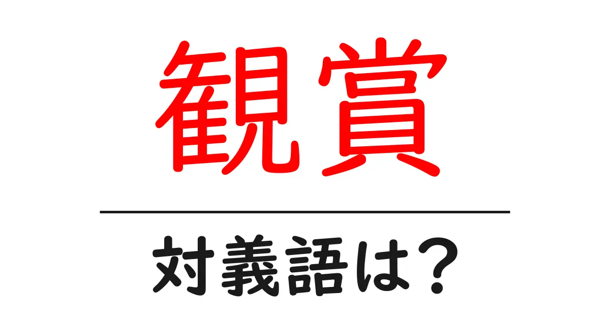 観賞の対義語・反対語を使用例を交えて分かりやすく解説!