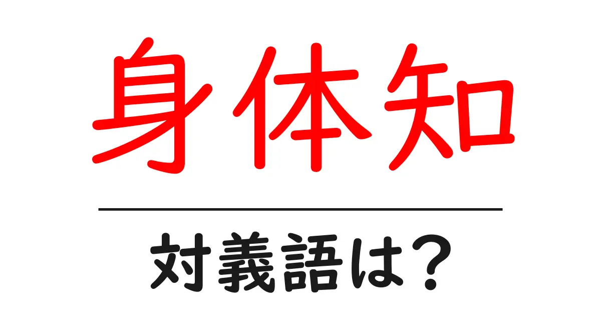 身体知の対義語・反対語を使用例を交えて分かりやすく解説！