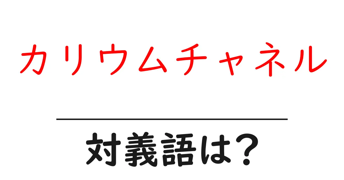 カリウムチャネルの対義語・反対語を使用例を交えて分かりやすく解説！