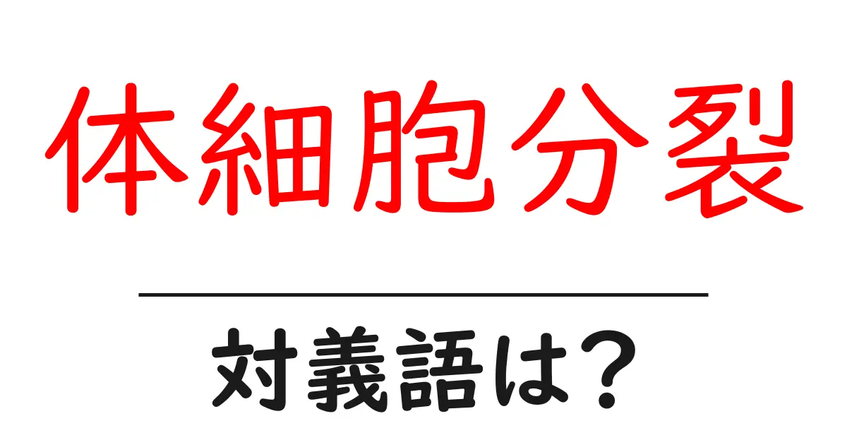体細胞分裂の対義語・反対語を使用例を交えて分かりやすく解説!