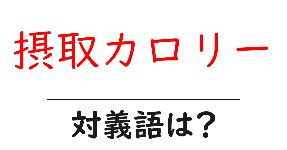 摂取カロリーの対義語・反対語を使用例を交えて分かりやすく解説!