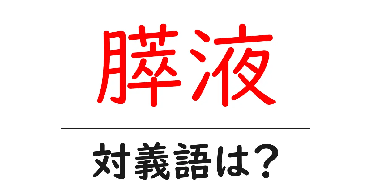 膵液の対義語・反対語を使用例を交えて分かりやすく解説!