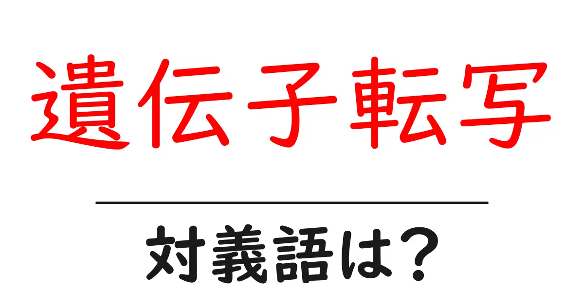 遺伝子転写の対義語・反対語を使用例を交えて分かりやすく解説!
