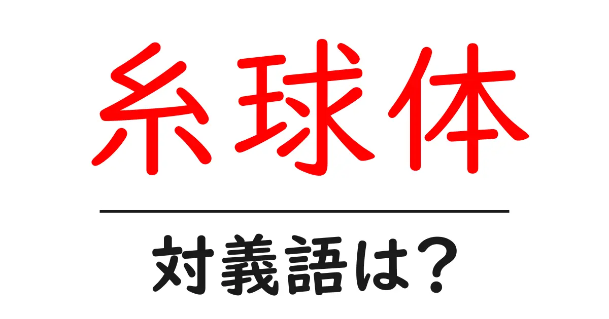 糸球体の対義語・反対語を使用例を交えて分かりやすく解説!