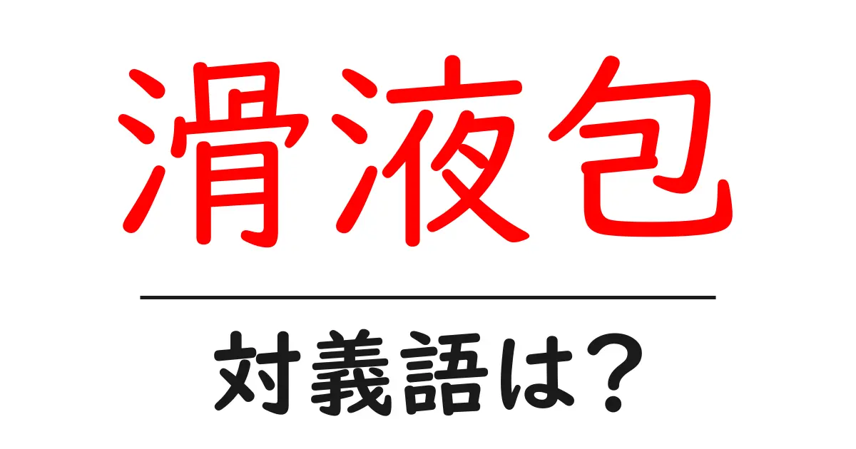 滑液包の対義語・反対語を使用例を交えて分かりやすく解説!