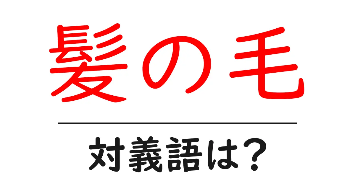 髪の毛の対義語・反対語を使用例を交えて分かりやすく解説!