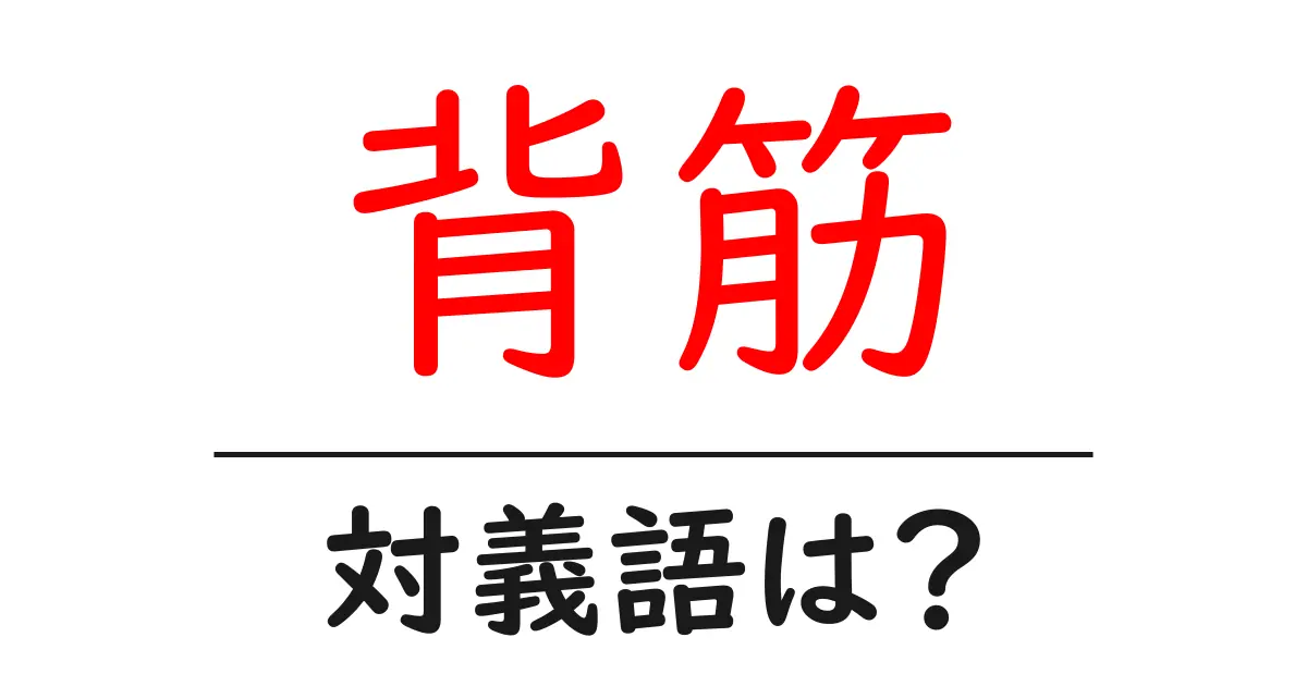 背筋の対義語・反対語を使用例を交えて分かりやすく解説!