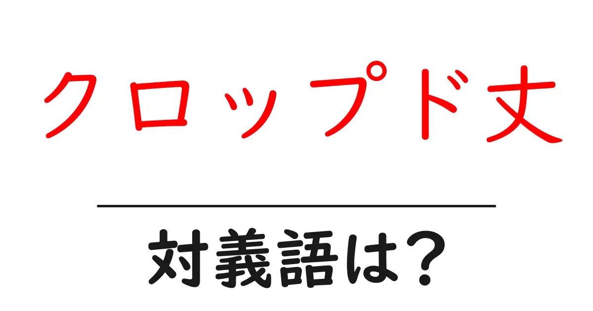 クロップド丈の対義語・反対語を使用例を交えて分かりやすく解説!