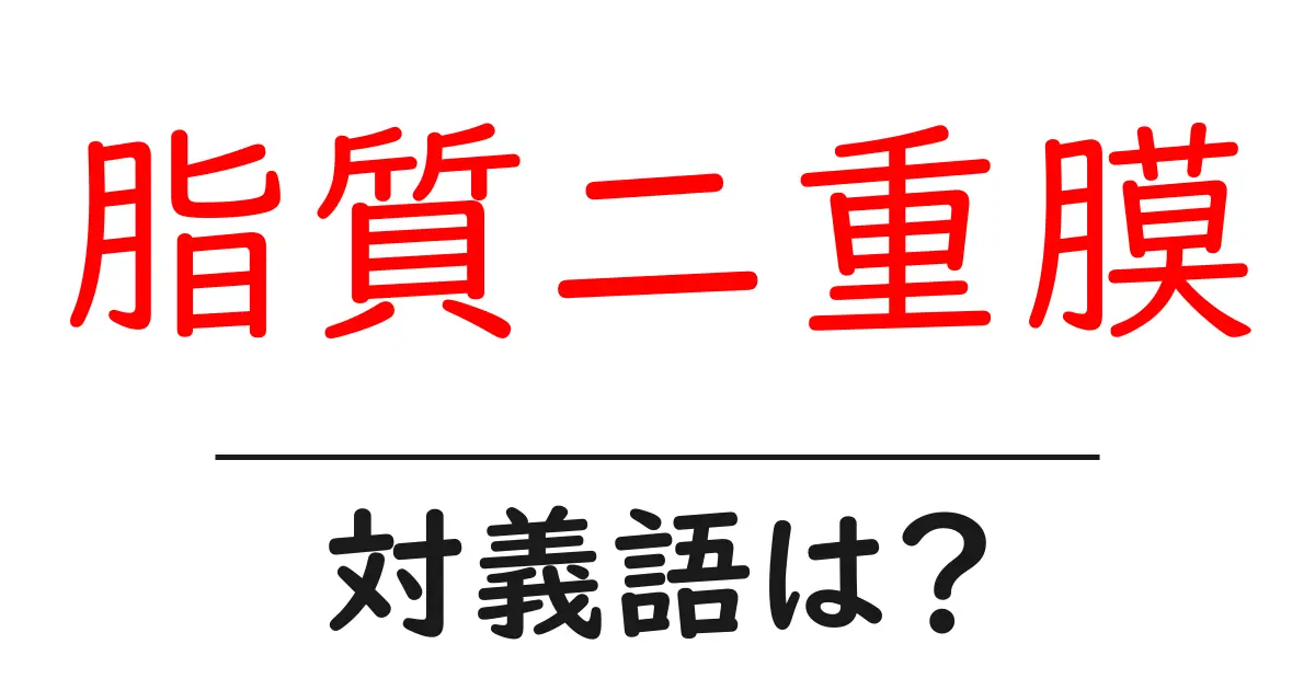 脂質二重膜の対義語・反対語を使用例を交えて分かりやすく解説!
