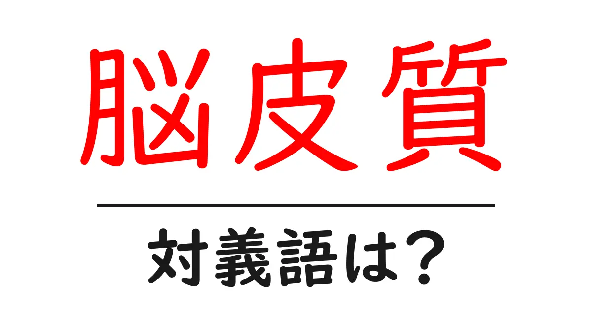 脳皮質の対義語・反対語を使用例を交えて分かりやすく解説!