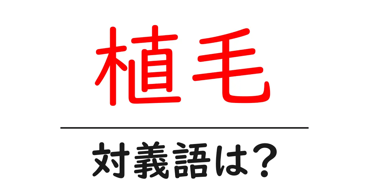 植毛の対義語・反対語を使用例を交えて分かりやすく解説!