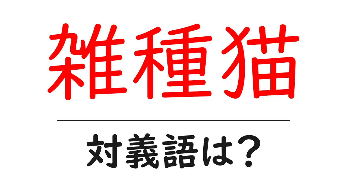 雑種猫の対義語・反対語を使用例を交えて分かりやすく解説!