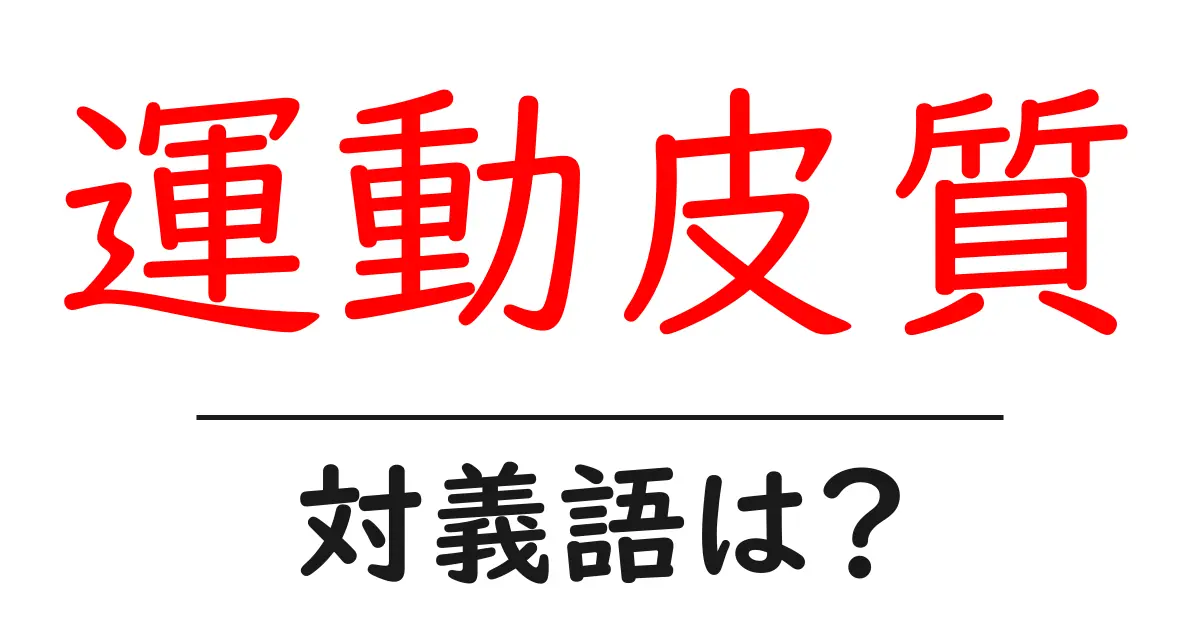 運動皮質の対義語・反対語を使用例を交えて分かりやすく解説!