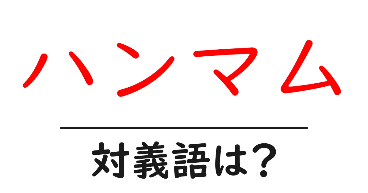 ハンマムの対義語・反対語を使用例を交えて分かりやすく解説！