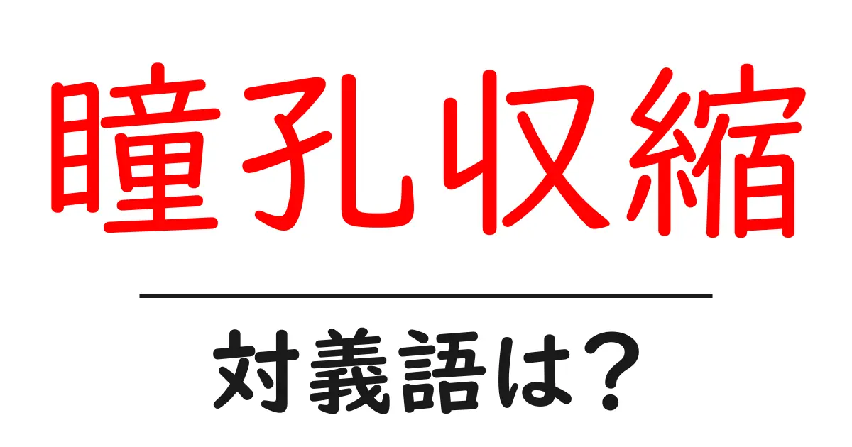 瞳孔収縮の対義語・反対語を使用例を交えて分かりやすく解説!