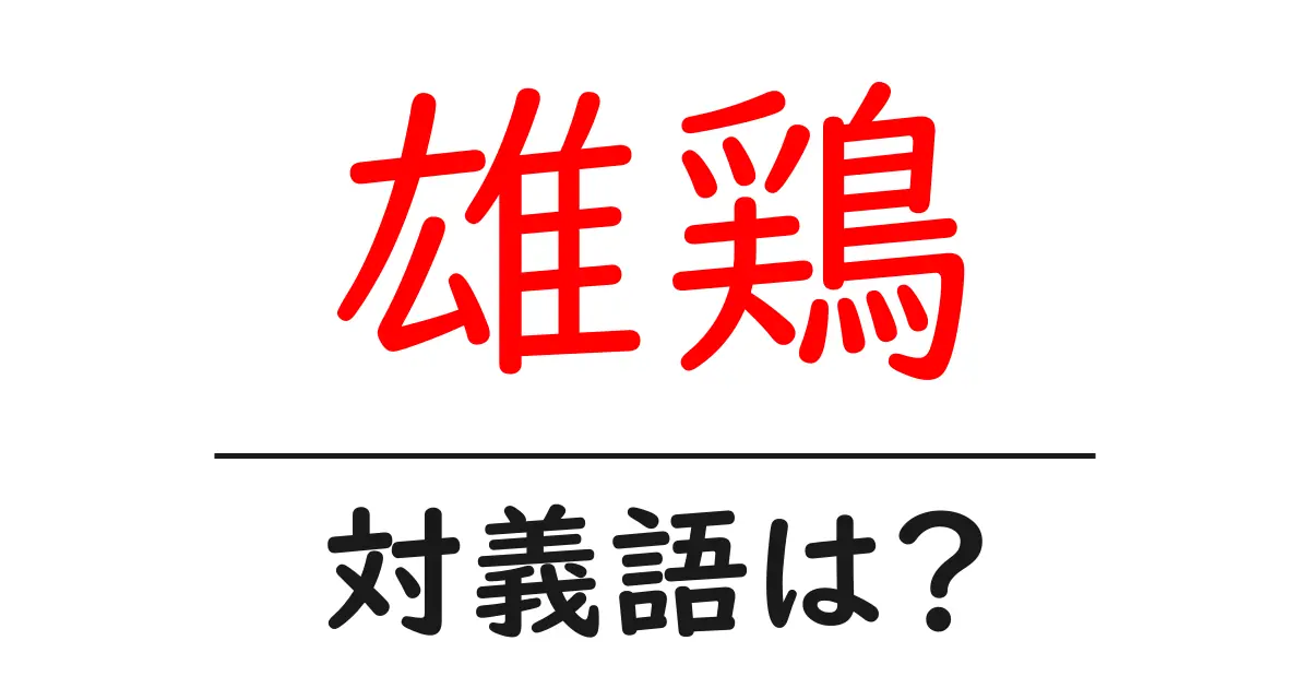 雄鶏の対義語・反対語を使用例を交えて分かりやすく解説!