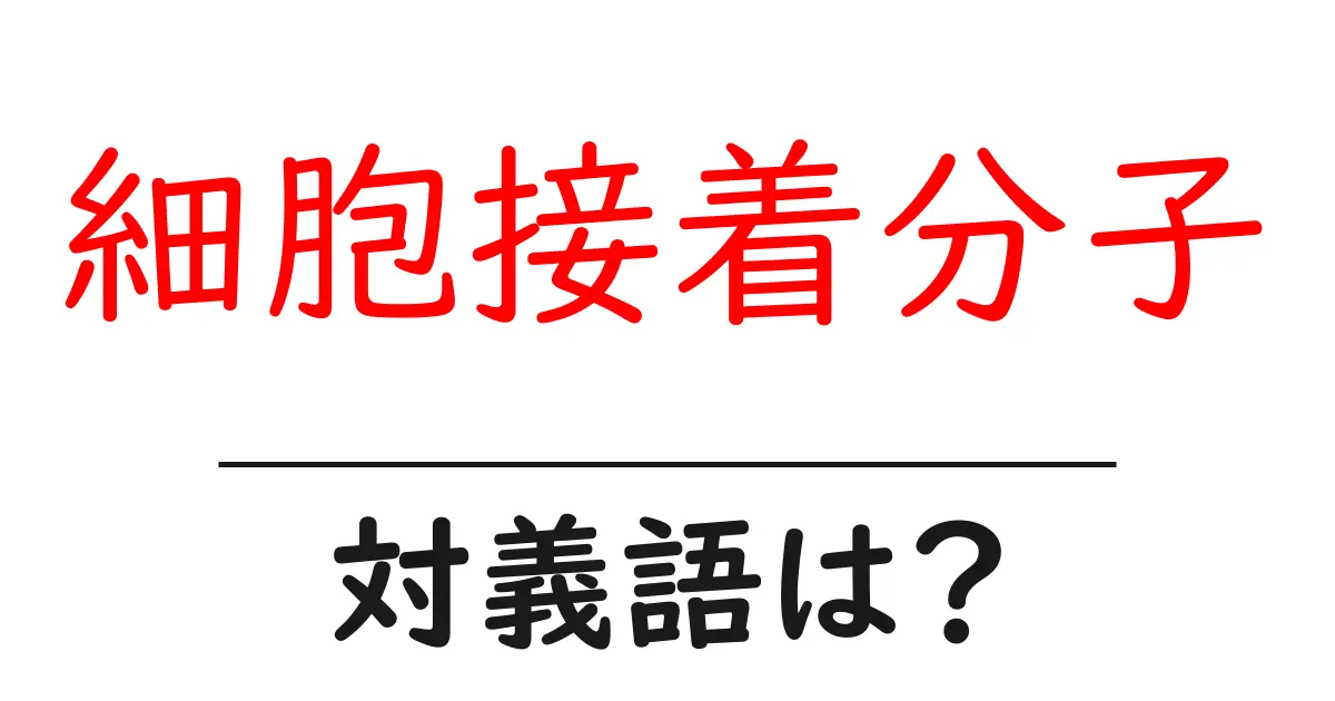 細胞接着分子の対義語・反対語を使用例を交えて分かりやすく解説!