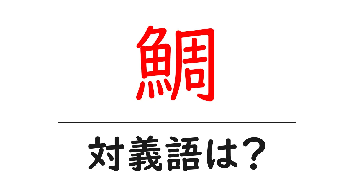 鯛の対義語・反対語を使用例を交えて分かりやすく解説!