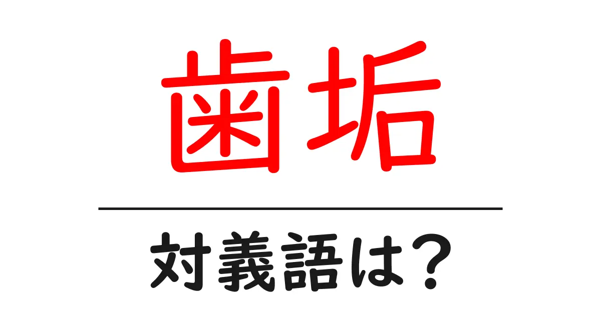 歯垢の対義語・反対語を使用例を交えて分かりやすく解説!