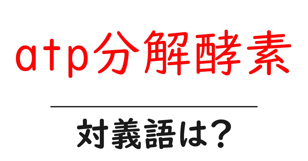 atp分解酵素の対義語・反対語を使用例を交えて分かりやすく解説！