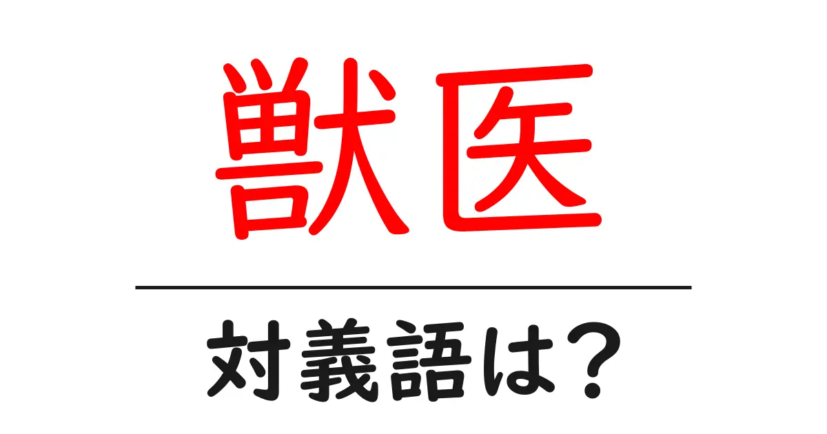 獣医の対義語・反対語を使用例を交えて分かりやすく解説!