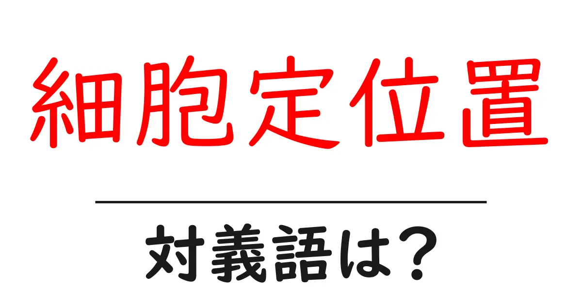 細胞定位置の対義語・反対語を使用例を交えて分かりやすく解説！