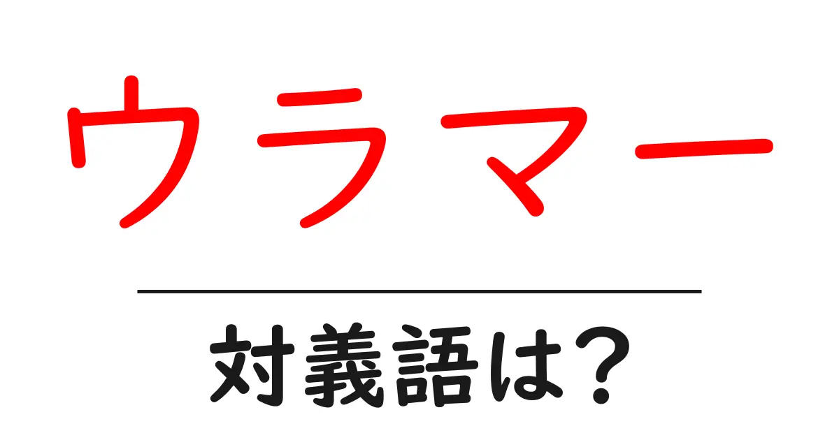 ウラマーの対義語・反対語を使用例を交えて分かりやすく解説!