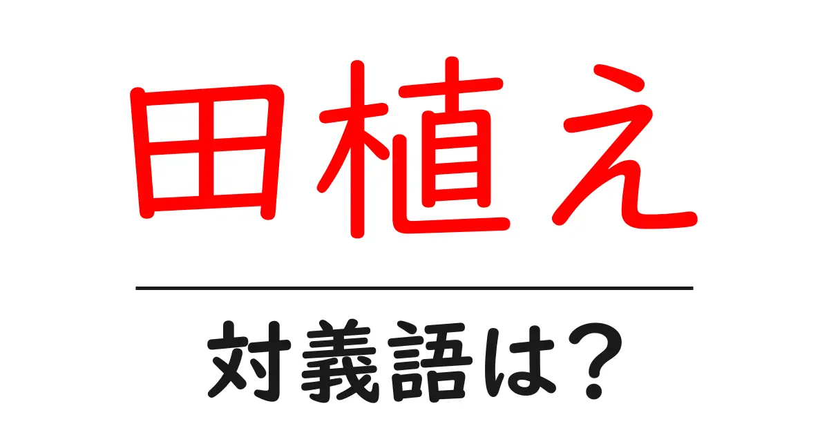 田植えの対義語・反対語を使用例を交えて分かりやすく解説!